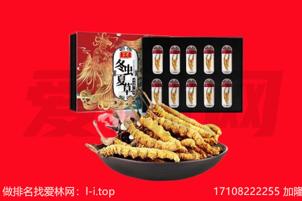 西区回收虫草.jpg